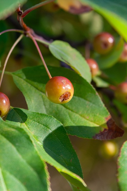 曼联前主帅阿特金森：要是我早买凯恩了，前锋解决一切问题