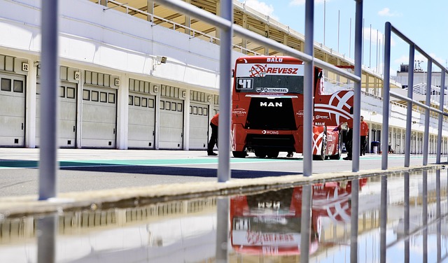 带领队友们 带领队友们