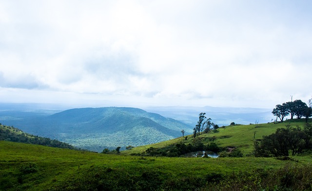 助攻还是抢 助攻还是抢
