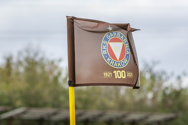 成就辉煌的 成就辉煌的