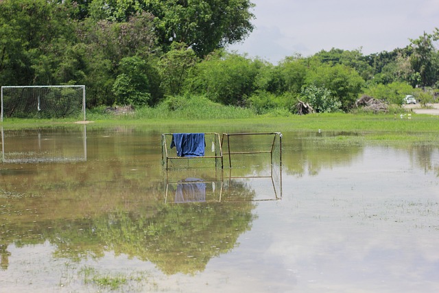 也拉开了关 也拉开了关